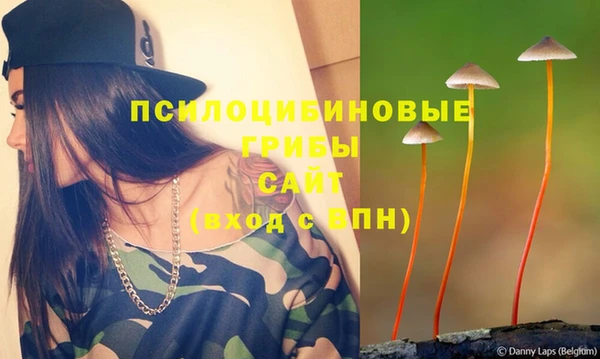 mix Осинники