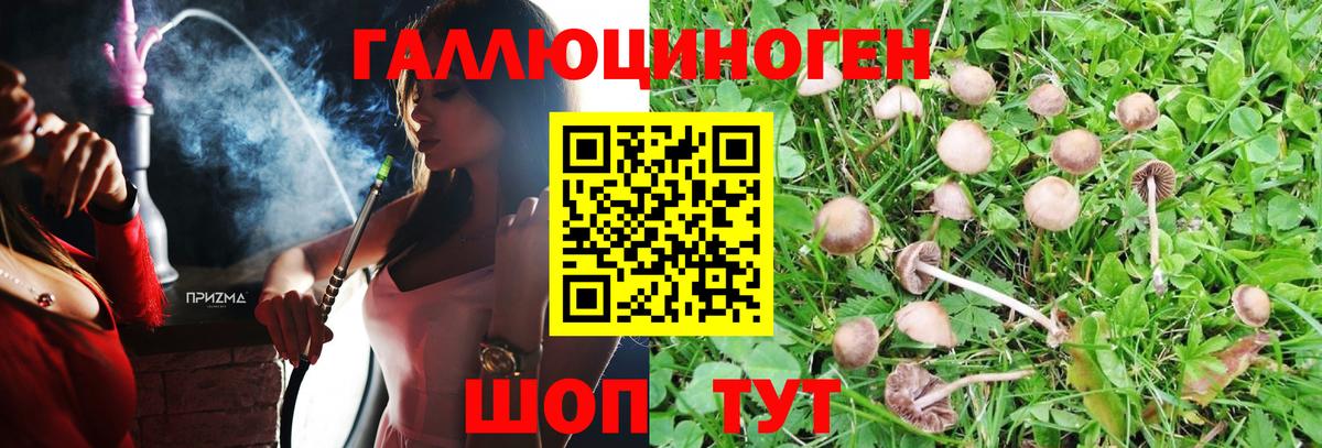 Псилоцибиновые грибы Cubensis Югорск
